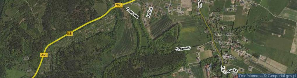 Zdjęcie satelitarne Sosnowa ul.