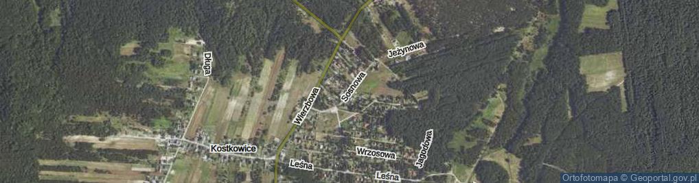 Zdjęcie satelitarne Sosnowa ul.