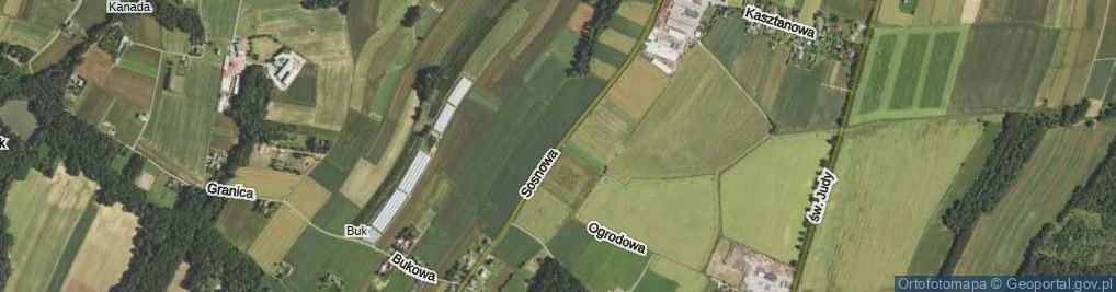 Zdjęcie satelitarne Sosnowa ul.