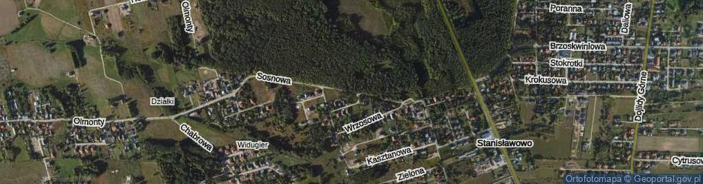 Zdjęcie satelitarne Sosnowa ul.