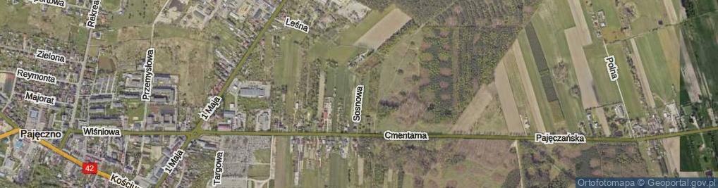 Zdjęcie satelitarne Sosnowa ul.