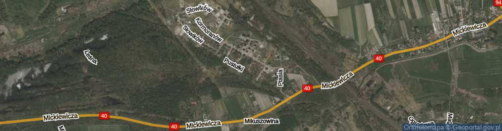 Zdjęcie satelitarne Sowia ul.