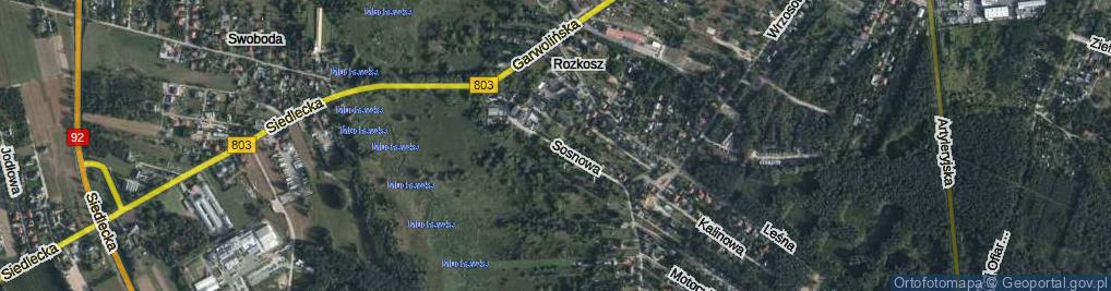 Zdjęcie satelitarne Sosnowa ul.