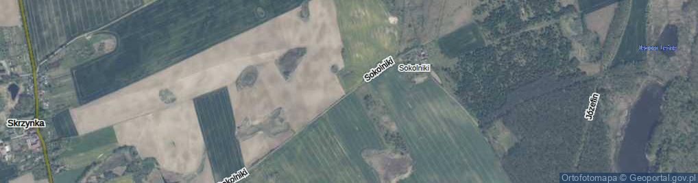 Zdjęcie satelitarne Sokolniki ul.