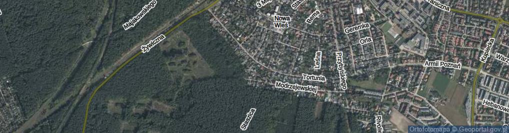 Zdjęcie satelitarne Sosnowa ul.