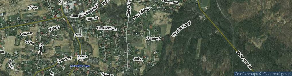 Zdjęcie satelitarne Sosnowa ul.