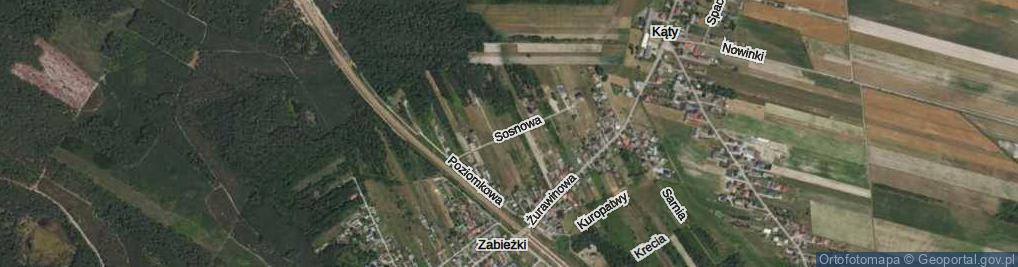 Zdjęcie satelitarne Sosnowa ul.