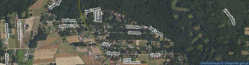 Zdjęcie satelitarne Sosnowa ul.