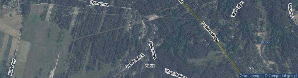 Zdjęcie satelitarne Spacerowa ul.