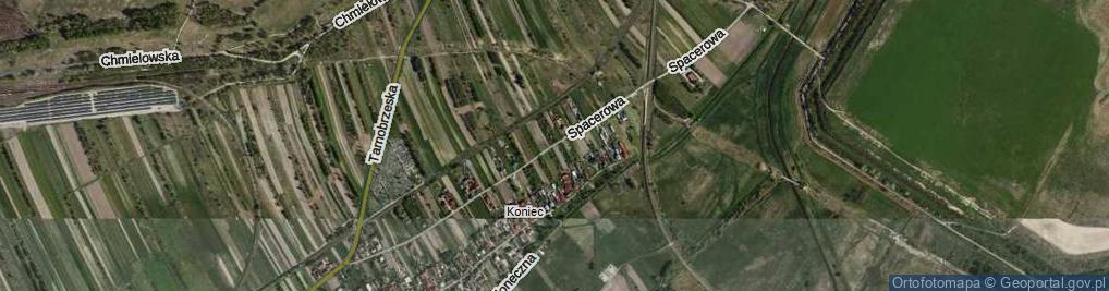 Zdjęcie satelitarne Spacerowa ul.