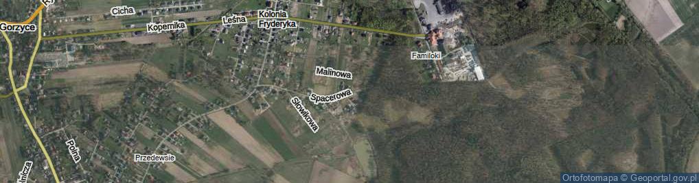 Zdjęcie satelitarne Spacerowa ul.