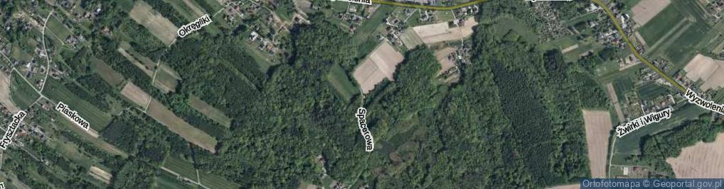 Zdjęcie satelitarne Spacerowa ul.
