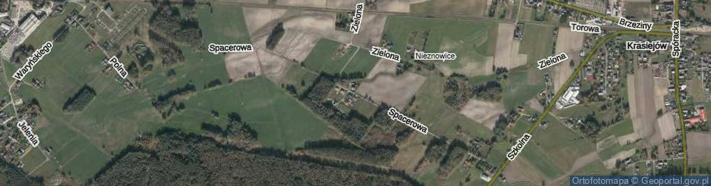 Zdjęcie satelitarne Spacerowa ul.