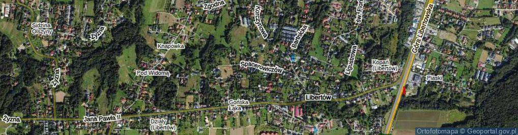Zdjęcie satelitarne Spacerowiczów ul.