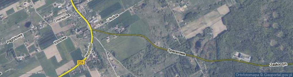 Zdjęcie satelitarne Spacerowa ul.