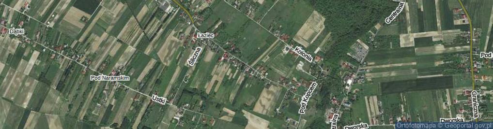 Zdjęcie satelitarne Spacerowa ul.