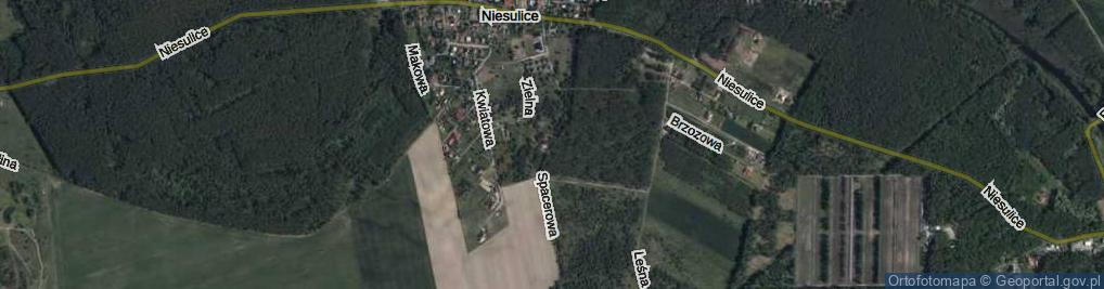 Zdjęcie satelitarne Spacerowa ul.