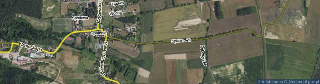 Zdjęcie satelitarne Spacerowa ul.