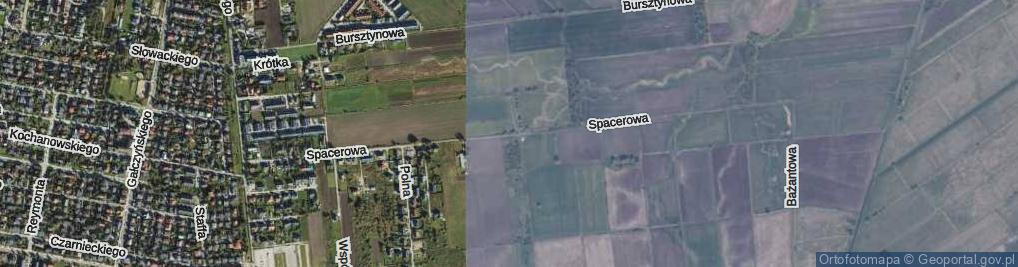 Zdjęcie satelitarne Spacerowa ul.