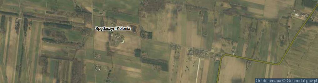 Zdjęcie satelitarne Spędoszyn-Kolonia ul.