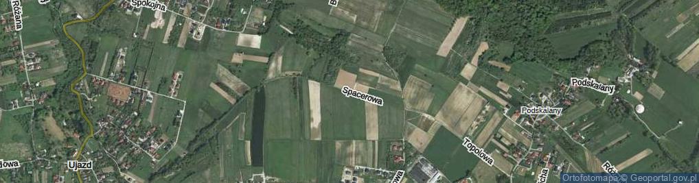Zdjęcie satelitarne Spacerowa ul.
