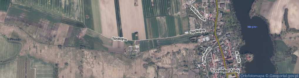 Zdjęcie satelitarne Spokojna ul.