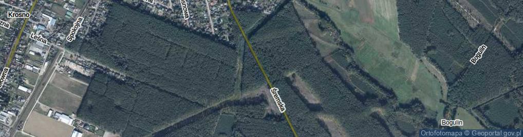 Zdjęcie satelitarne Śremska ul.