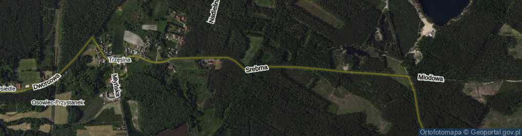 Zdjęcie satelitarne Srebrna ul.