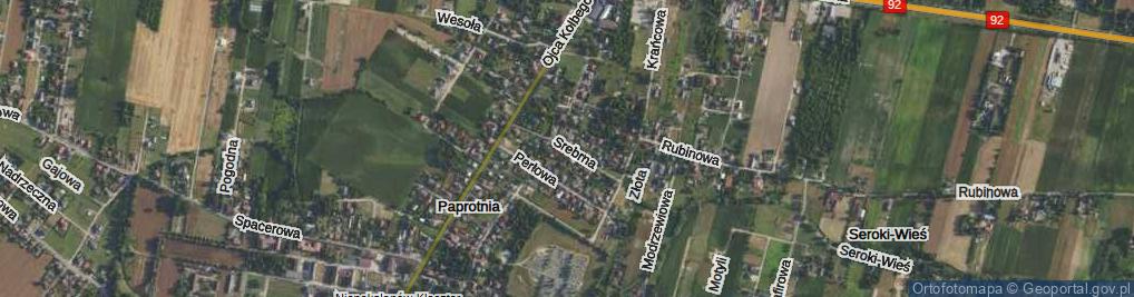 Zdjęcie satelitarne Srebrna ul.