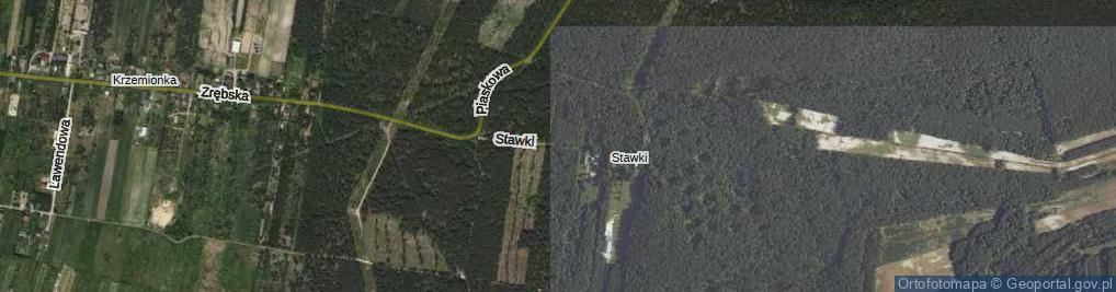 Zdjęcie satelitarne Stawki ul.