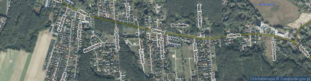 Zdjęcie satelitarne Strumykowa ul.