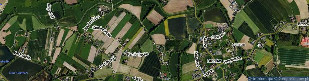 Zdjęcie satelitarne Stawowe Pole ul.