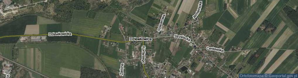 Zdjęcie satelitarne Strzelecka ul.