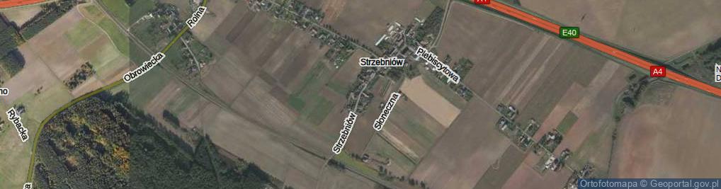 Zdjęcie satelitarne Strzebniów ul.