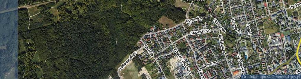 Zdjęcie satelitarne Staffa Leopolda ul.