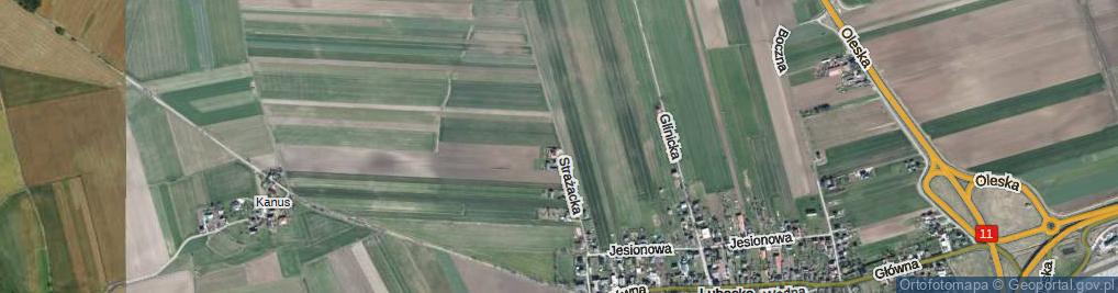 Zdjęcie satelitarne Strażacka ul.