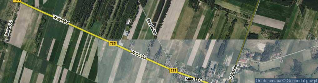 Zdjęcie satelitarne Strażacka ul.