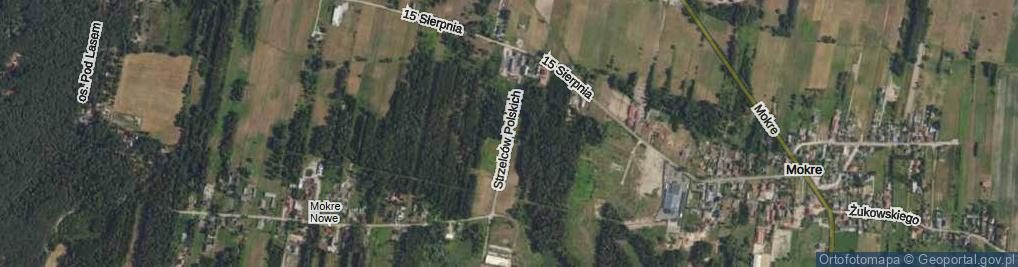 Zdjęcie satelitarne Strzelców Polskich ul.