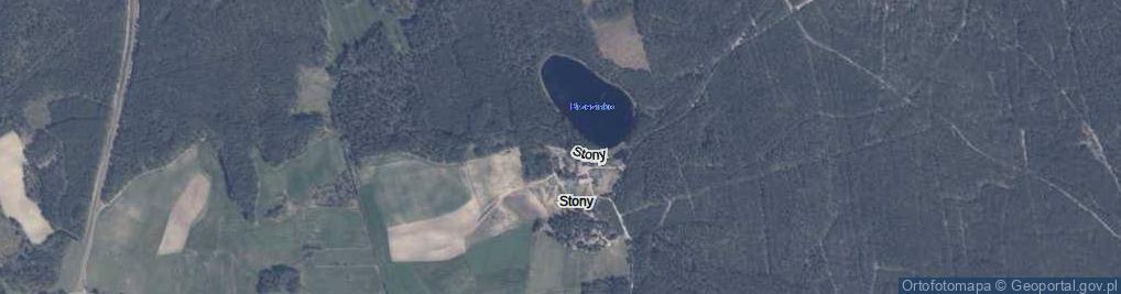 Zdjęcie satelitarne Stony ul.