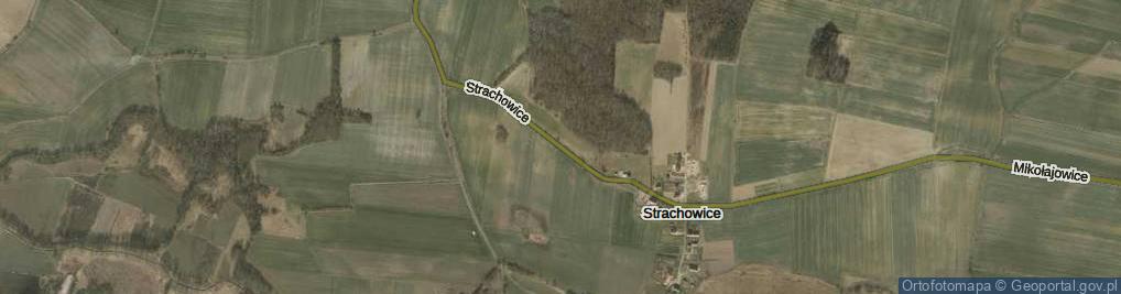 Zdjęcie satelitarne Strachowice ul.