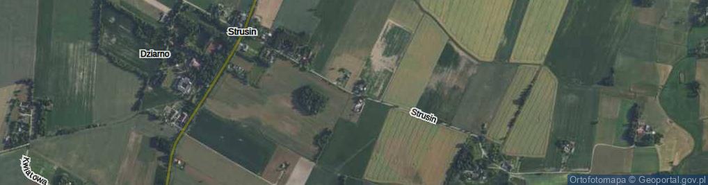 Zdjęcie satelitarne Strusin ul.