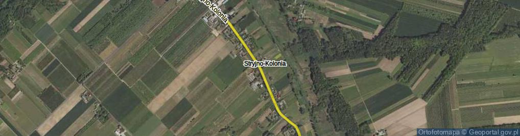 Zdjęcie satelitarne Stryjno-Kolonia ul.