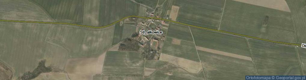 Zdjęcie satelitarne Strzałkowice ul.