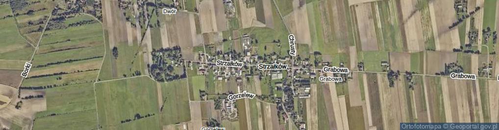 Zdjęcie satelitarne Strzałków ul.