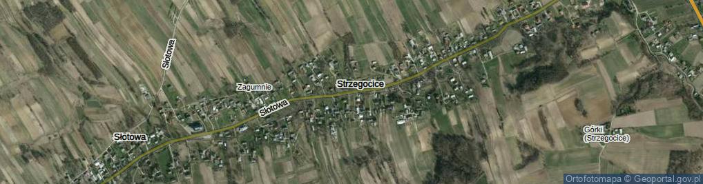 Zdjęcie satelitarne Strzegocice ul.