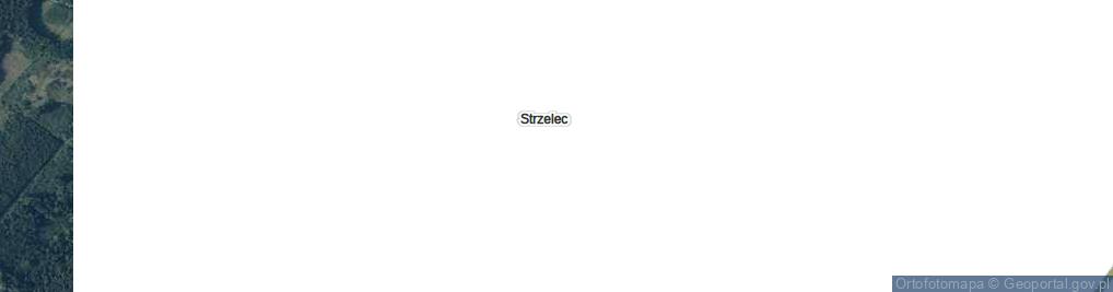 Zdjęcie satelitarne Strzelec ul.