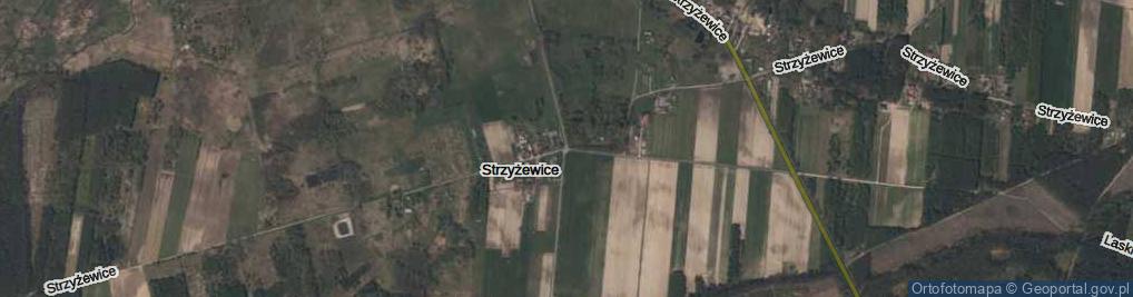 Zdjęcie satelitarne Strzyżewice ul.