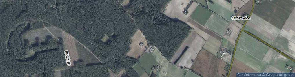 Zdjęcie satelitarne Stróżewice ul.
