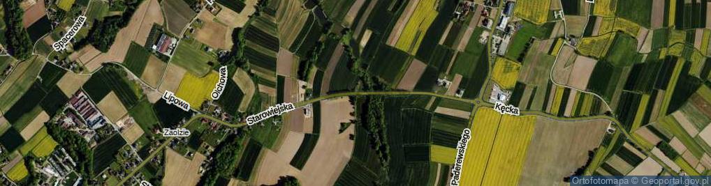 Zdjęcie satelitarne Starowiejska ul.