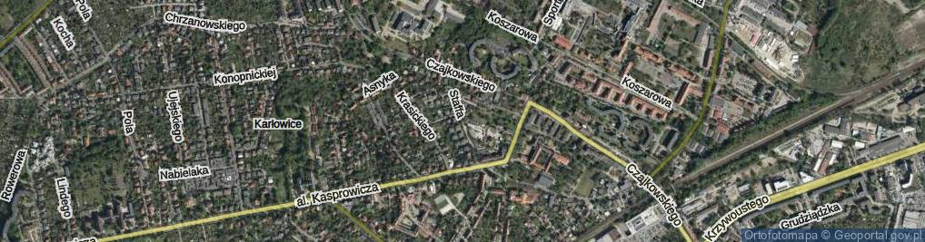 Zdjęcie satelitarne Staffa Leopolda ul.